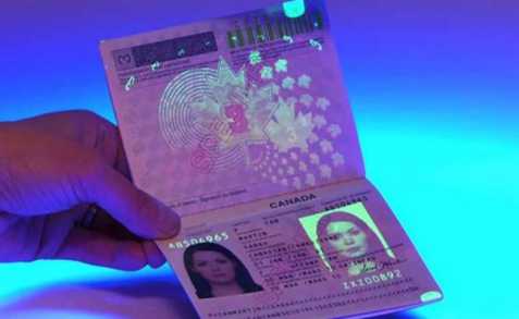 koupit pas, občanský průkaz a další